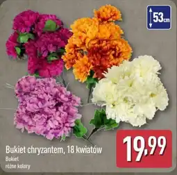 ALDI Bukiet chryzantem oferta