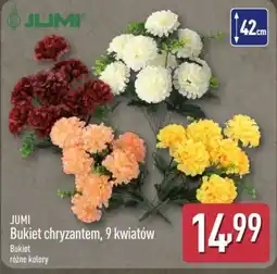 ALDI JUMI Bukiet chryzantem oferta