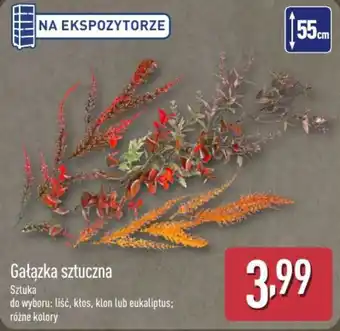 ALDI Gałązka sztuczna oferta