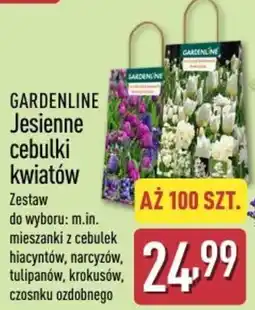 ALDI GARDENLINE Jesienne cebulki kwiatów oferta