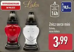 ALDI Znicz serce mini oferta
