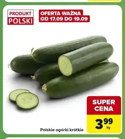 Carrefour Express Polskie ogórki krótkie oferta