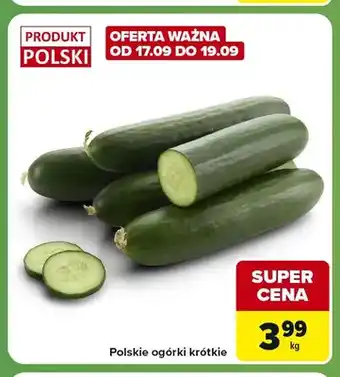 Polskie ogórki krótkie