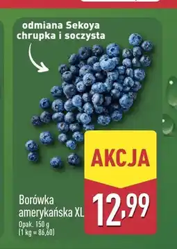 ALDI Borówka amerykańska XL oferta
