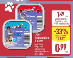 ALDI Karma mokra dla kota pasztet z wołowiną Cachet oferta