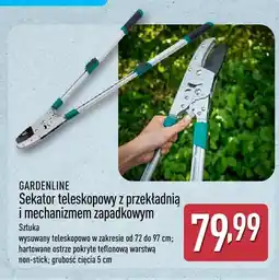 ALDI Sekator teleskopowy z przekładnią i mechanizmem zapadkowym Gardenline oferta