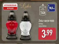 ALDI Znicz serce mini Luks oferta