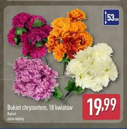 ALDI Bukiet chryzantem 18 kwiatów oferta