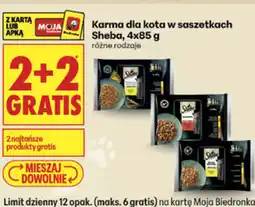 Biedronka Karma dla kota w saszetkach Sheba oferta