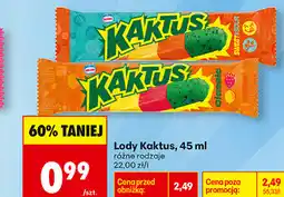 Biedronka Lody Kaktus oferta