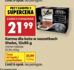 Biedronka Karma dla kota w saszetkach Sheba 12-pak oferta
