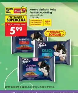 Biedronka Karma dla kota Felix Fantastic 4-pak oferta