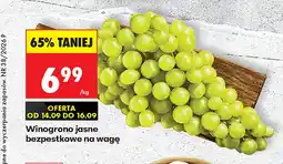 Biedronka Winogrona jasne bezpestkowe na wagę oferta