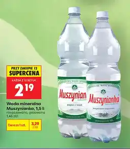Biedronka Woda mineralna gazowana Muszynianka oferta