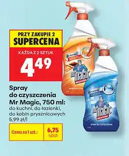 Biedronka Spray do czyszczenia Mr Magic do kabin prysznicowych oferta