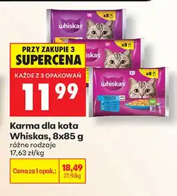 Biedronka Karma dla kota Whiskas 8-pak oferta