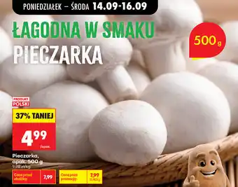 Biedronka Pieczarka, opak oferta
