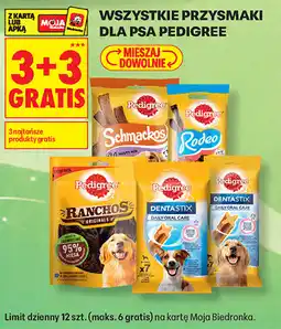 Biedronka Wszystkie przysmaki dla psa Pedigree oferta