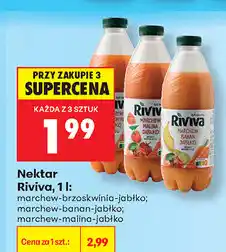 Biedronka Nektar Riviva oferta
