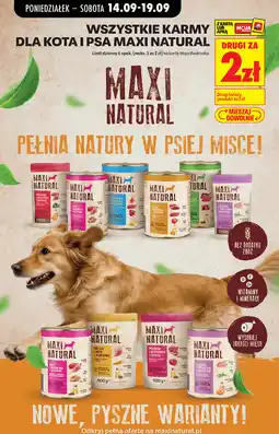 Biedronka Karmy dla kota i psa Maxi Natural oferta
