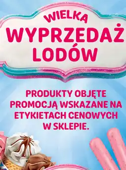Biedronka Wielka wyprzedaż lodów oferta