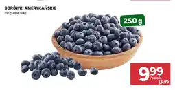 Stokrotka Borówki amerykańskie oferta