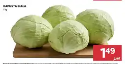 Stokrotka Kapusta biała oferta