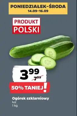 Netto Ogórek Polski oferta