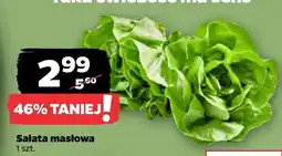 Netto Sałata masłowa oferta