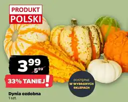 Netto Dynia Polski oferta