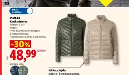 Lidl Kurtka damska Esmara oferta