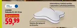Lidl Poduszka Livarno 53x44x12 cm oferta