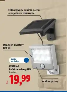 Lidl Reflektor solarny LED Livarno oferta