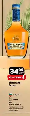 Netto Brandy Słoneczny Brzeg oferta
