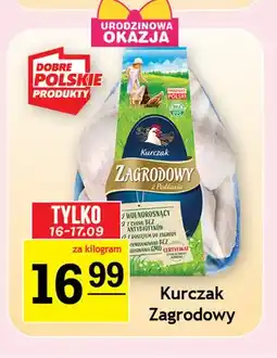 Gram Market Kurczak oferta