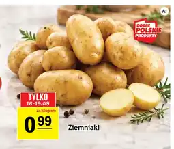 Gram Market Ziemniaki oferta
