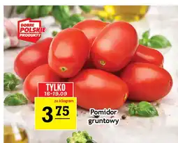 Gram Market Pomidory gruntowe oferta