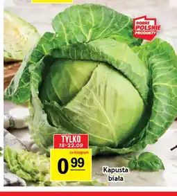 Gram Market Kapusta biała oferta