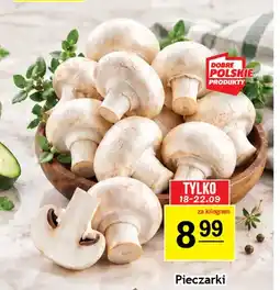 Gram Market Pieczarki oferta