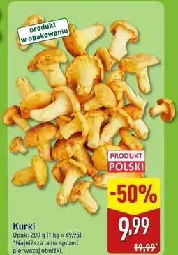 ALDI Kurki Polski oferta