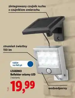 Lidl LIVARNO Reflektor solarny LED oferta