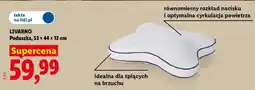 Lidl LIVARNO Poduszka oferta