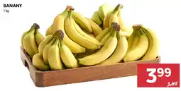 Stokrotka Banany oferta