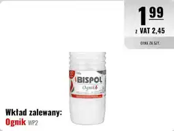 Eurocash Wkład zalewany: Ognik WP2 oferta