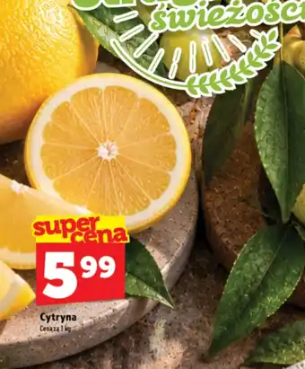 Topaz Express Cytryna oferta