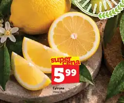 Topaz Express Cytryna oferta