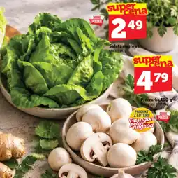 Topaz Express Sałatka masłowa oferta