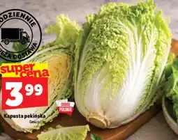 Topaz Express Kapusta pekińska oferta