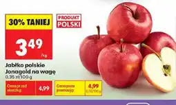Biedronka Jabłko polskie Jonagold oferta