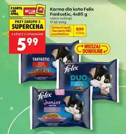 Biedronka Karma dla kota Felix Fantastic oferta